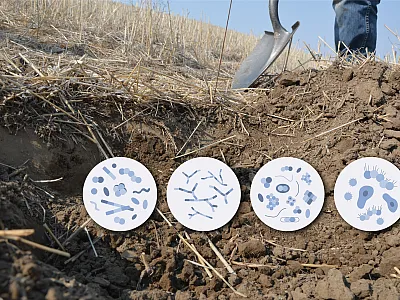 Backdrop image courtesy of USDA-NRCS Oregon. Microbe illustrations courtesy of Adobe Stock/Julia.