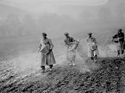 Farm workers spreading bone fertilizer on fields in 1936. Photo courtesy of Alamy Stock Photo/Smith Archive.