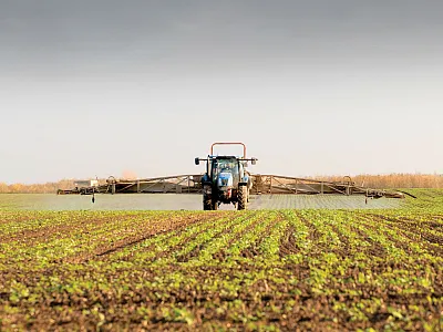Some Concerns with Roundup Ready Spring Canola for Italian Ryegrass Control