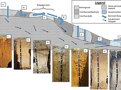 A cross section of a South African landscape with different soils guid- ing heterogeneous flow patterns of water. Image reprinted with per- mission from the chapter “The Contribution of Hydropedogical Assess- ments to the Availability and Sustainability, for All (SDG#6)” by Van Tol  et al., published in Soil and Sustainable Development Goals.