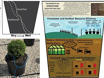 Top left: An example of the moisture balance within a container in a standard conventional substrate system and a stratified substrate  system. Image courtesy of Jeb S. Fields. Bottom left: To grow containerized crops, ornamental nurseries and greenhouses use soilless sub- strates, which are often organic by-products that must be very coarse (like tree bark) to ensure sufficient drainage for crop production. Photo  courtesy of Jeb S. Fields. Right: An infographic demonstrating the benefits of stratified sub