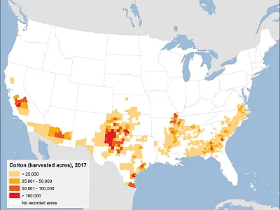 Harvested acres of cotton in the U.S. in 2017. Image by the USDA Economic Research Service.