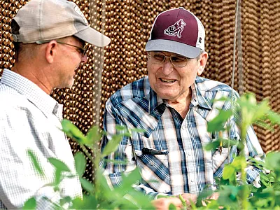 Co-authors John Cason (left) and Charles Simpson discuss wild species peanut in their greenhouses at Texas A&M AgriLife Research in Stephenville. Photo by Texas A&M AgriLife Multimedia.