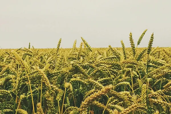 Certified Professional Agronomist (CPAg)