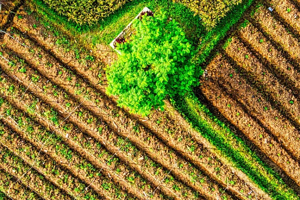 Aerial view of farm land