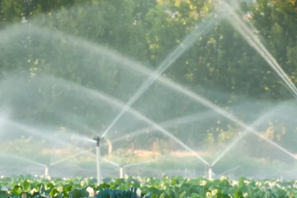 irrigation across a large crop