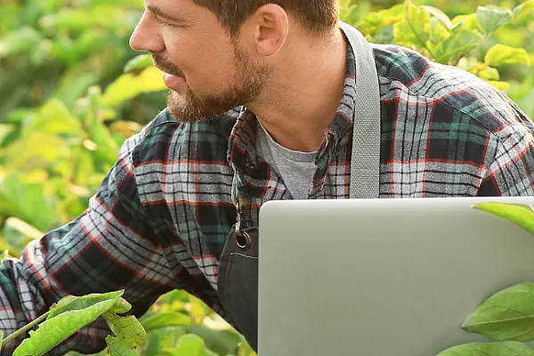 person in a field examining leaves with a laptop in hand