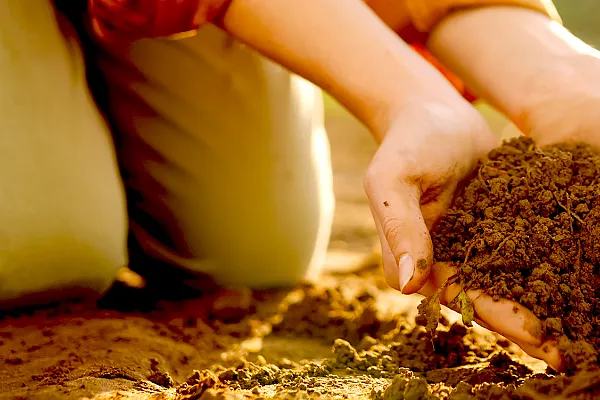 Hands in soil with a person kneeling