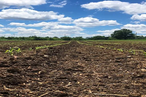 sustaining-life-from-field-to-fork