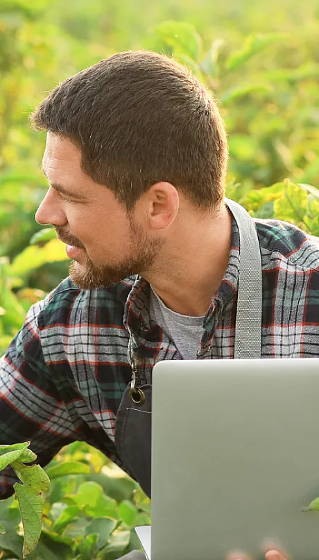 agronomist analyzing crop health and documenting with laptop in field