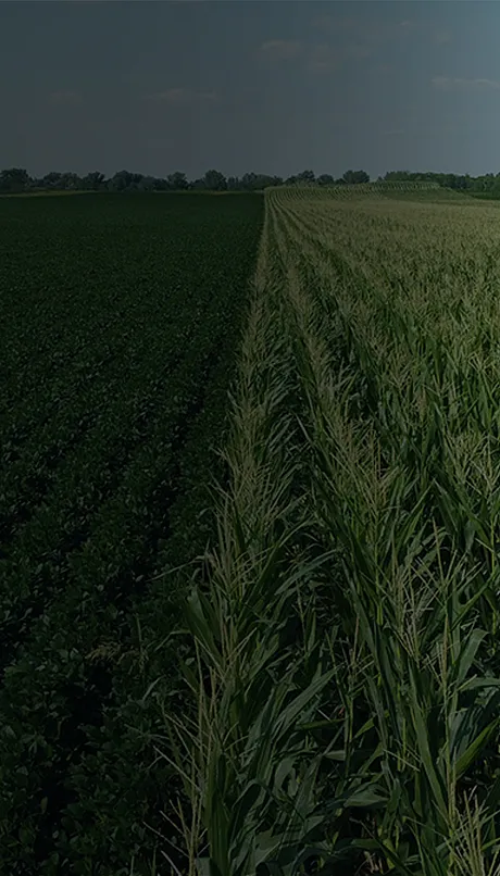 February 2026 Crops & Soils backdrop