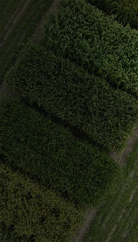 August CSA News 2025 backdrop