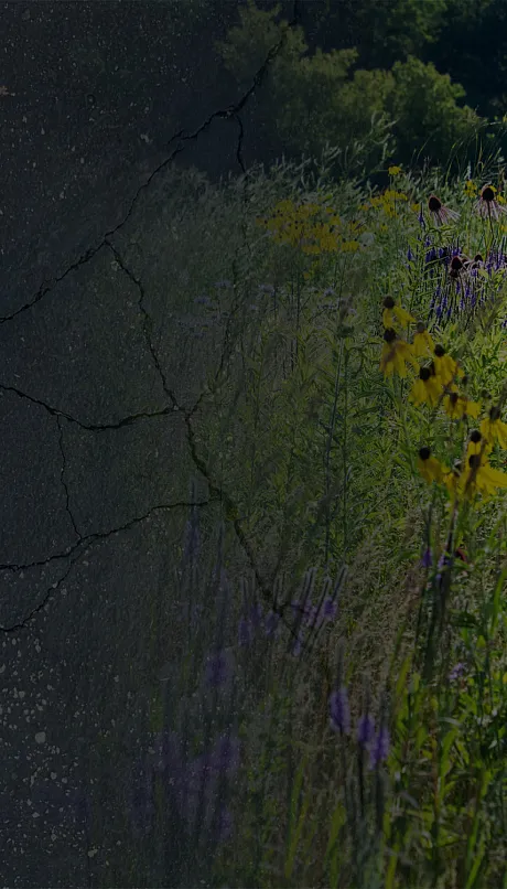 March 2026 CSA News backdrop