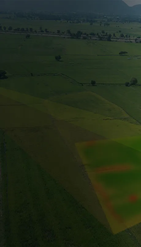 March 2026 Crops & Soils backdrop