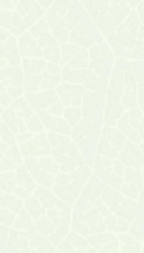 Close-up leaf pattern