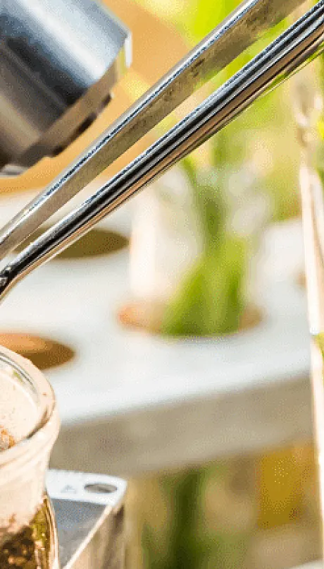 Microscope and crops