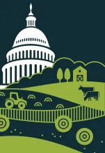 Photo courtesy of Adobe Stock.