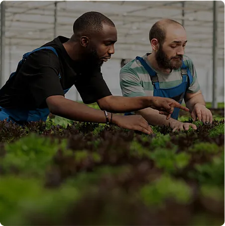Men working in greenhouse