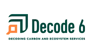 Professional
resources Decode 6