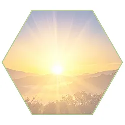 bridge theory and pactice graphical icon