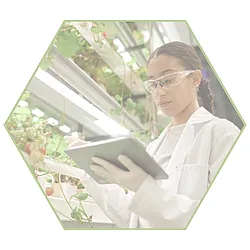 evaluate your professional standing graphical icon