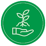 Growing plant in hand