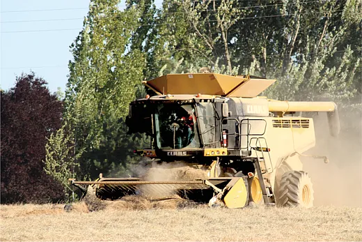 Grass seed harvesting. Photo courtesy of Flickr/Oregon Department of Agriculture. Reprinted here under this license: https://creativecommons.org/licenses/byâncând/2.0/.