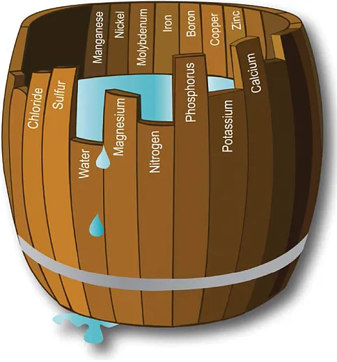 Figure 2. The âLaw of the Minimumâ states that if any essential nutrient is deficient, then crop growth will be reduced even if all of the other nutrients are adequately supplied (Carl Sprengel and Justus von Liebig; International Plant Nutrition Institute, 2019).