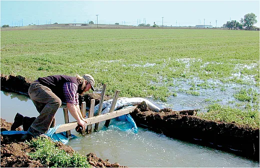 Water can move from fields infested with alfalfa stem nematode to new fields. Â©2002 Regents of the University of California. Used by permission.