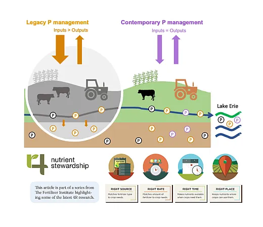 Illustration courtesy of the USDA Legacy Phosphorus Project.