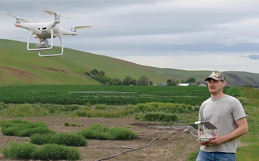 Biological research technician Britton Borland flying an unpiloted aerial vehicle for highâthroughput imaging and analyses of bitter vetch germplasm in a field planting on the Central Ferry, WA research farm. Photo by C. Coyne.
