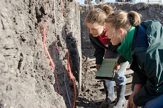 Photo courtesy of Wikimedia Commons/USDA NRCS Texas. 