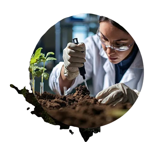 Woman working with soil in a lab setting