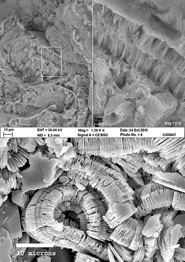 Figure 2 Kaolinite (top) and smectite (bottom) under an electron microscope. Images reproduced from the âImages of Clay Archiveâ of the Mineralogical Society of Great Britain and Ireland and the Clay Minerals Society (www.minersoc.org/imagesâofâclay.html).