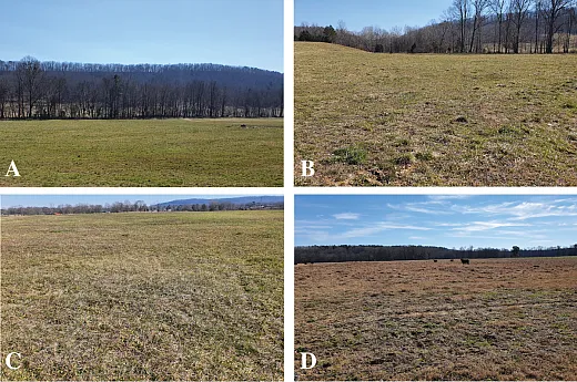 Figure 2. Example pictures of north Georgia grasslands observed in the field assessment by University of Georgia county extension agents in November 2021. Agents were asked to assign a percentage of their countyâs grasslands to four color categories: nearly all green (A), more green than brown (B), more brown than green (C), and nearly all brown (D).