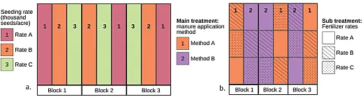 Figure 1. Traditional onâfarm research methods: (a) randomized complete block design and (b) stripâplot design.