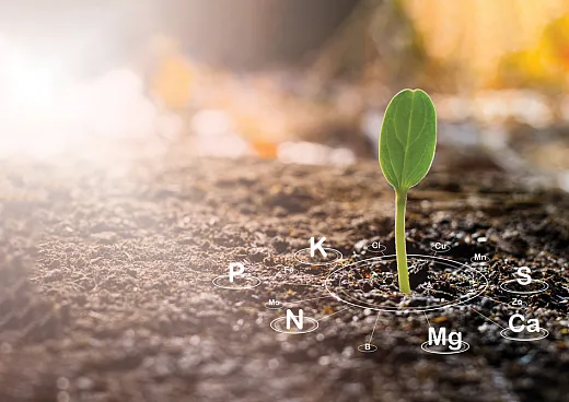A better understanding of nutrient status and crop yield across fields can help increase the accuracy of nutrient applications, minimizing unwanted environmental impacts and costs for growers. Photo courtesy of Adobe Stock/Gamogamo.