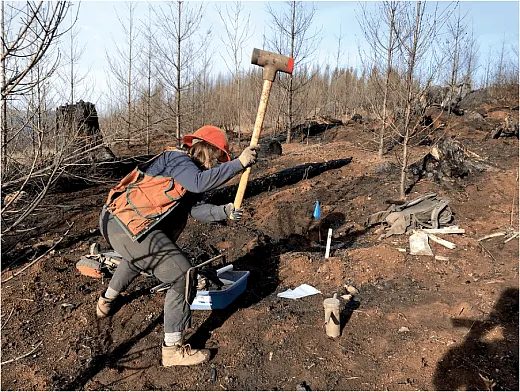 Hammering the soil core into the soil to collect a sample down to 30 cm. Photo courtesy of K. McCool.