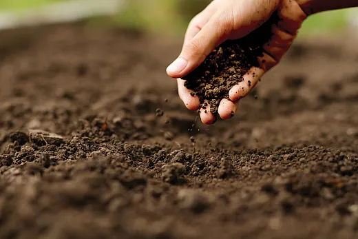 Citation management is as important as soil management. Photo courtesy of Adobe Stock/piyaset.