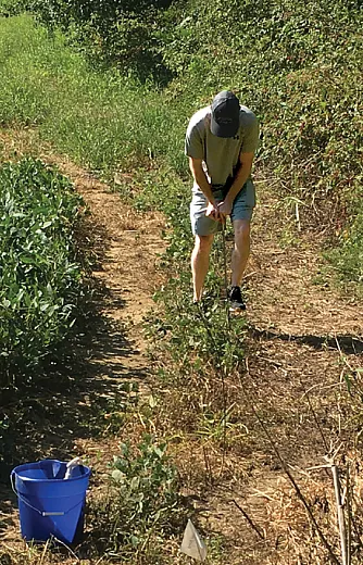 In a self-guided learning lab at the University of Tennessee at Martin, students measured soil pH, nitrate concentration, texture, and percolation rate. Photo courtesy of Bethany Wolters.