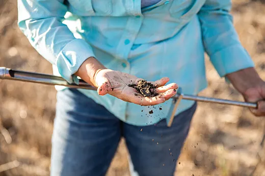 Fall is a common time, especially in the Midwest, to measure nitrogen levels and soil health levels in general. Photo courtesy of the United Soybean Board and published under this license: https://creativecommons.org/licenses/by/2.0/.