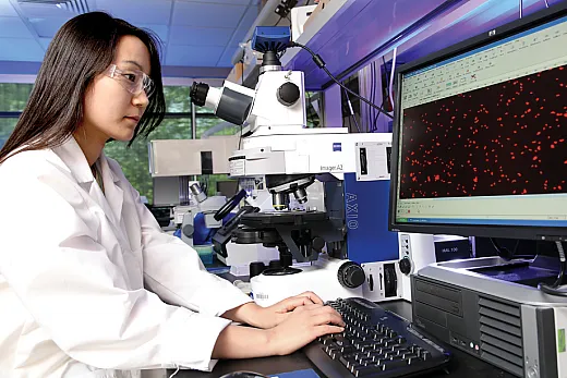 Modeling interactions among plants, soil, and microbes involves various biological, chemical, and physical processes that connect these systems. Photo courtesy of Flickr/Oak Ridge National Laboratory.