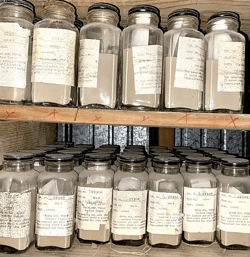 Shelved and organized samples in the archive. Photo courtesy of Andrew Margenot.