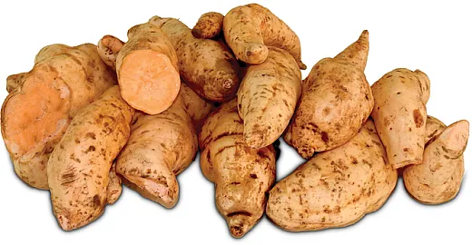 The Alamura variety of orange-fleshed sweet potato (OFSP) is one of 100 bred for various trait âfrom disease and drought resistance to more desirable textureâin sub-Saharan Africa. Photo by Jan Low.