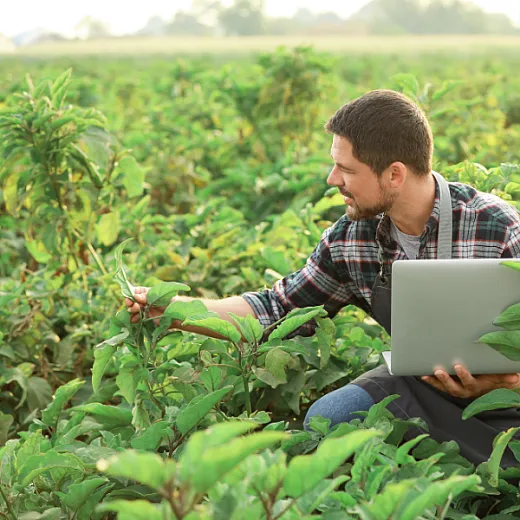 man in field with computer