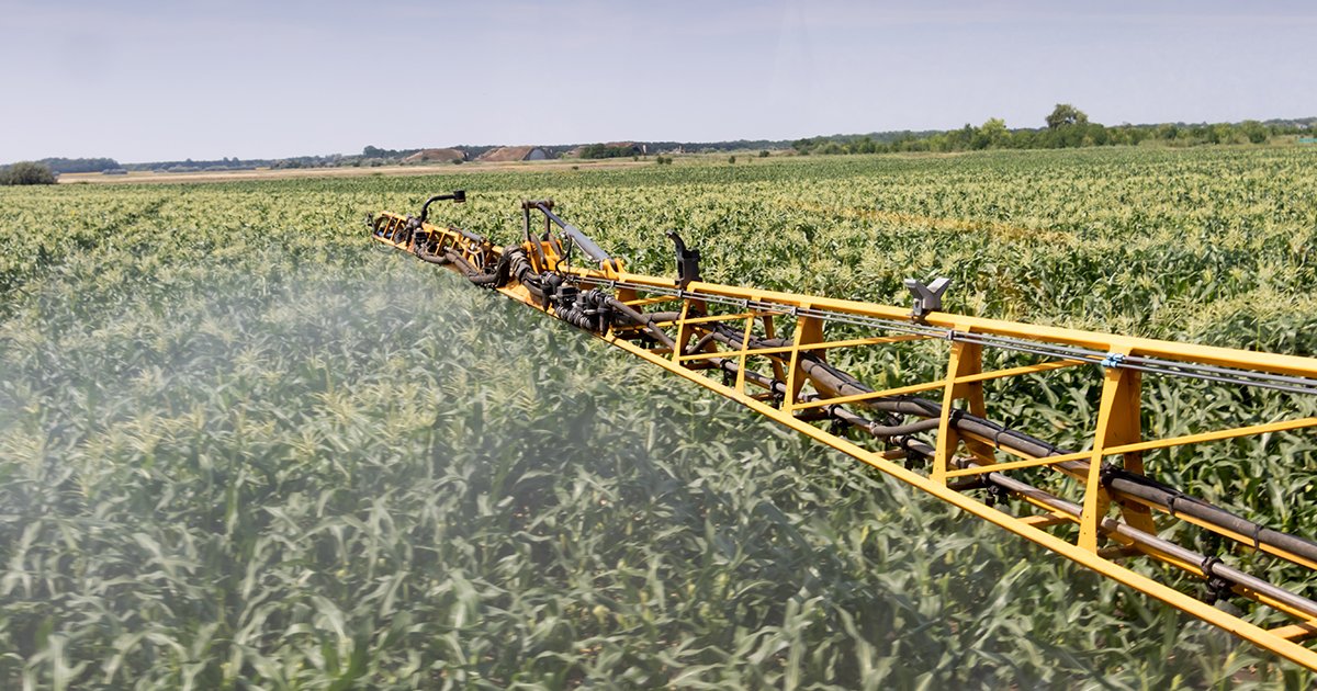 Understanding the corn fungicide yield response | Science Societies