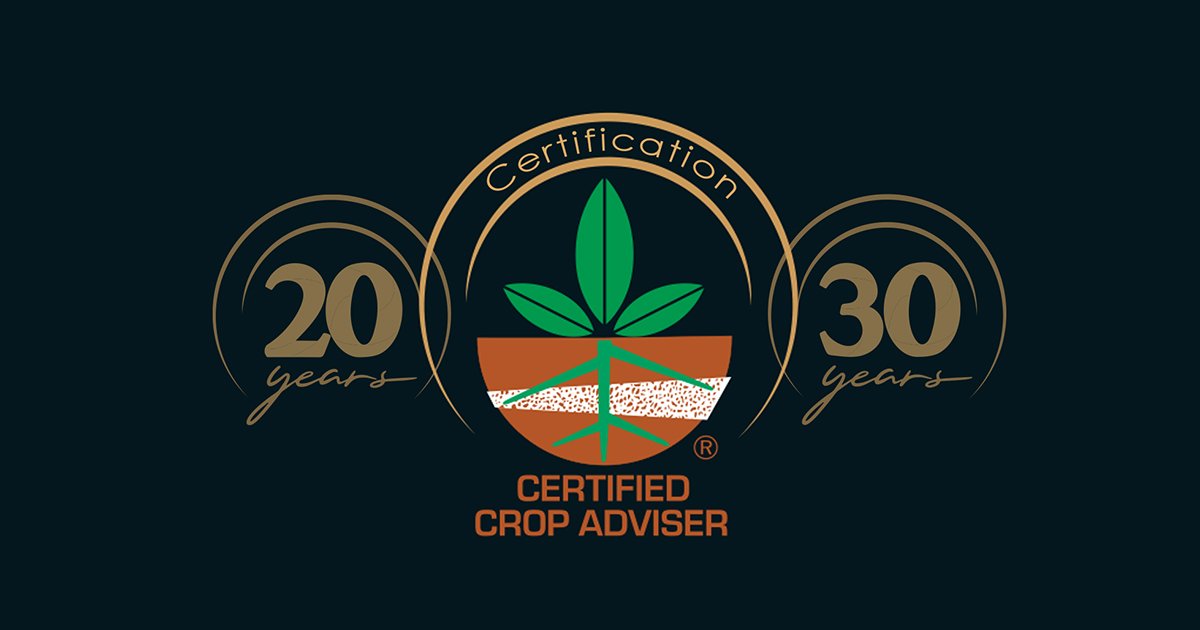 Celebrating CCA certification milestones | Science Societies
