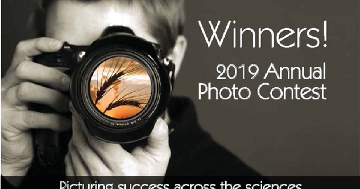 Congratulations to our 2019 Photo Contest winners! | Science Societies