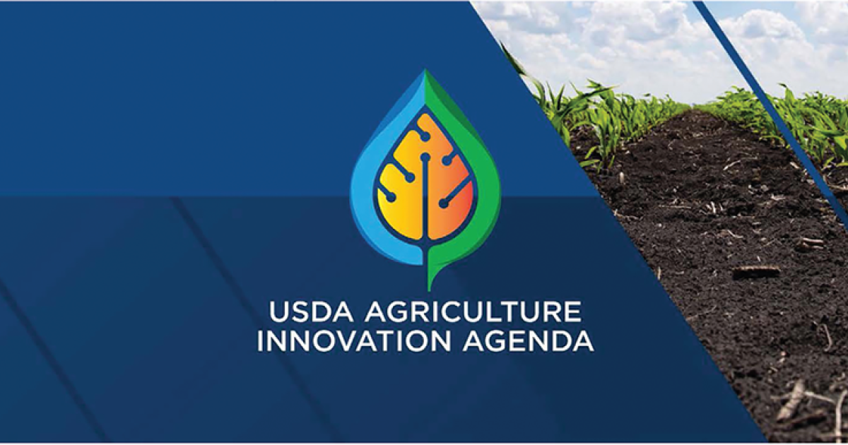 A vision for the future of sustainable agriculture | Science Societies
