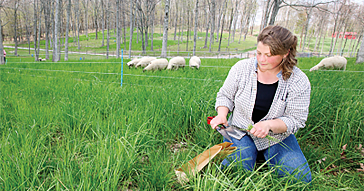 Claire Rutledge Female researchers: The forages of agronomy | Science Societies